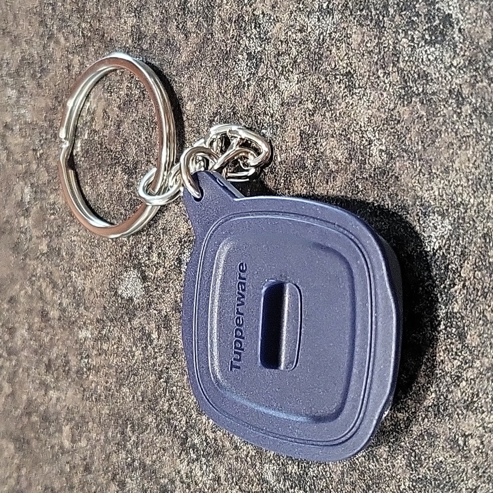 FREE Add on With any Purchase MicroPro Grill Keychain